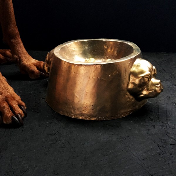 January sales Gold Dog Bowl